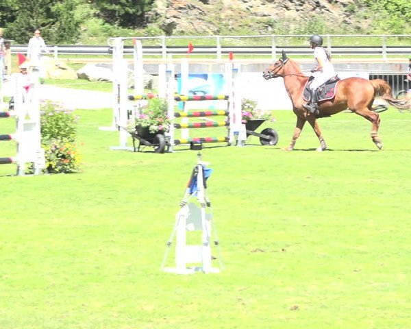 Reitturnier St. Moritz 2019