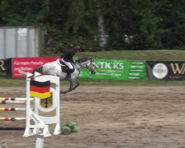 Reitturnier Neuss-Uedesheim 2019