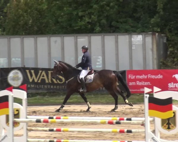 Reitturnier Neuss-Uedesheim 2019