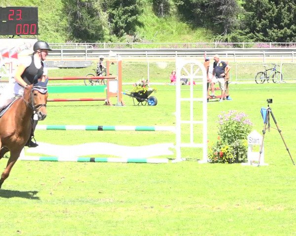 Reitturnier St. Moritz 2019