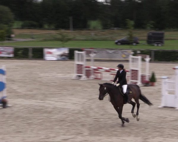 Reitturnier Monschau-Mützenich 2019