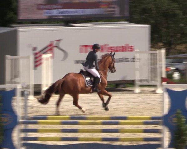 Reitturnier Monschau-Mützenich 2019