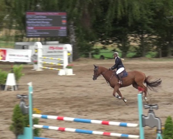 Reitturnier Neuss-Uedesheim 2019