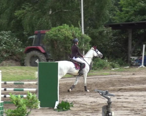Reitturnier Neuss-Uedesheim 2019