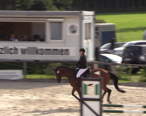 Reitturnier Monschau-Mützenich 2019
