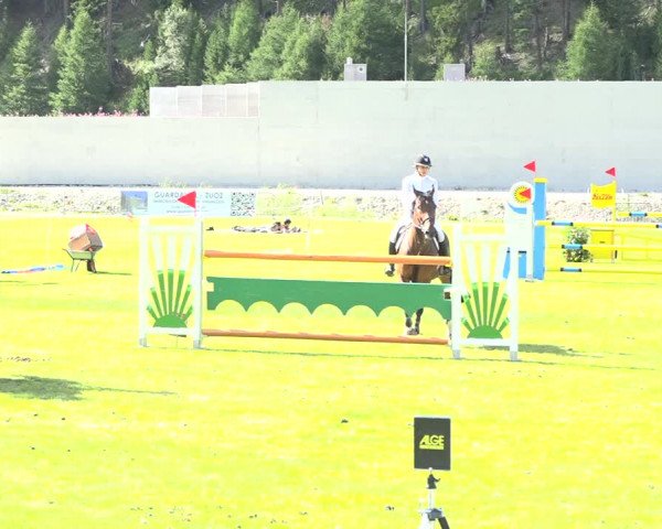 Reitturnier St. Moritz 2019