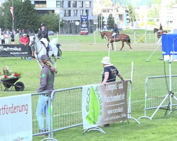 Reitturnier St. Moritz 2019
