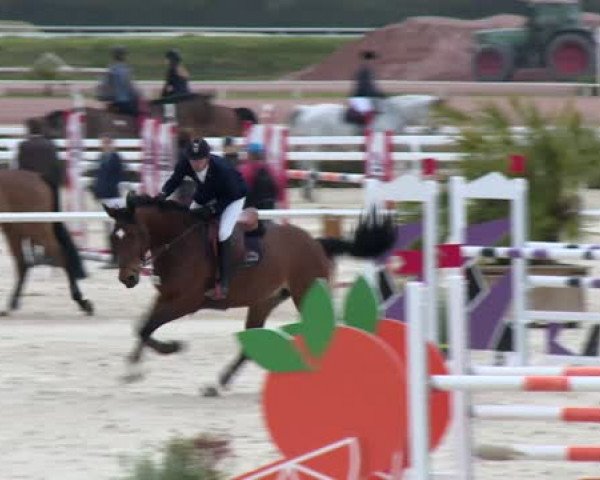 Springpferd Vadja du Kinet (Selle Français, 2009, von Toulon)