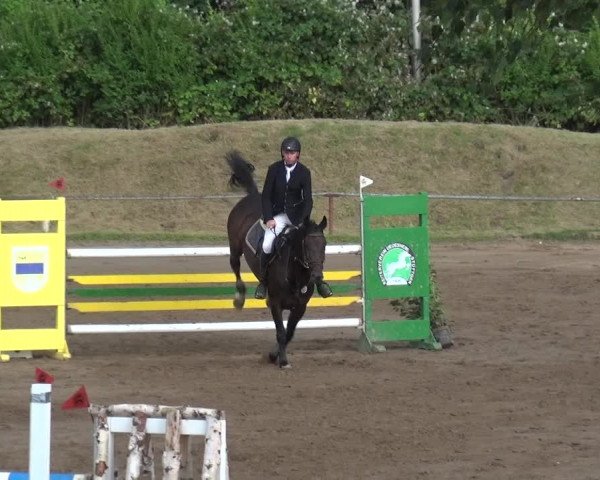 Reitturnier Neuss-Uedesheim 2019