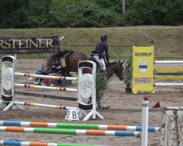Reitturnier Neuss-Uedesheim 2019