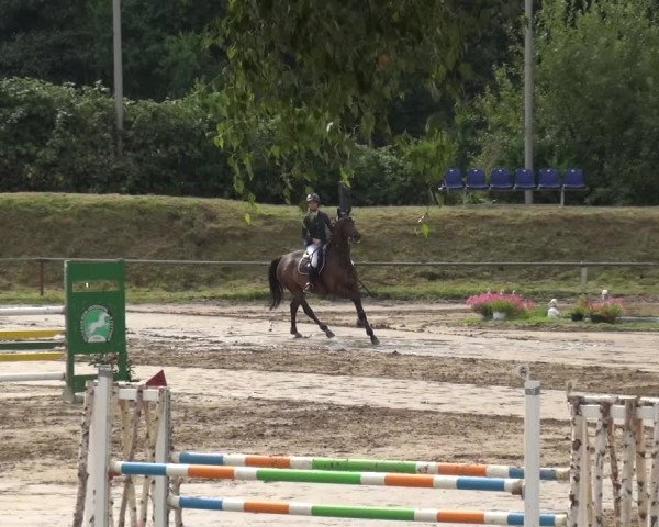Reitturnier Neuss-Uedesheim 2019