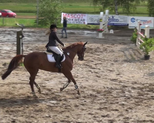 Reitturnier Neuss-Uedesheim 2019