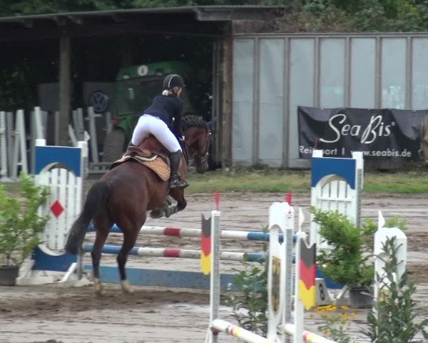 Reitturnier Neuss-Uedesheim 2019