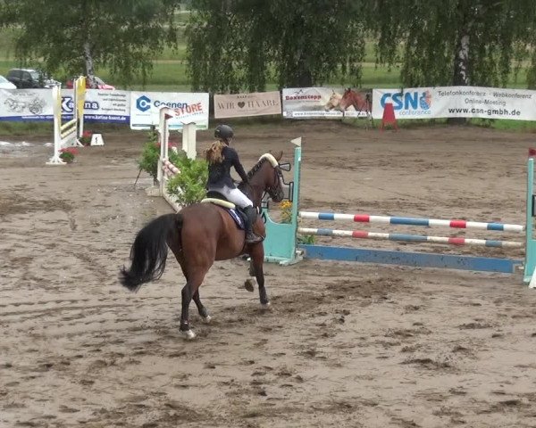 Reitturnier Neuss-Uedesheim 2019