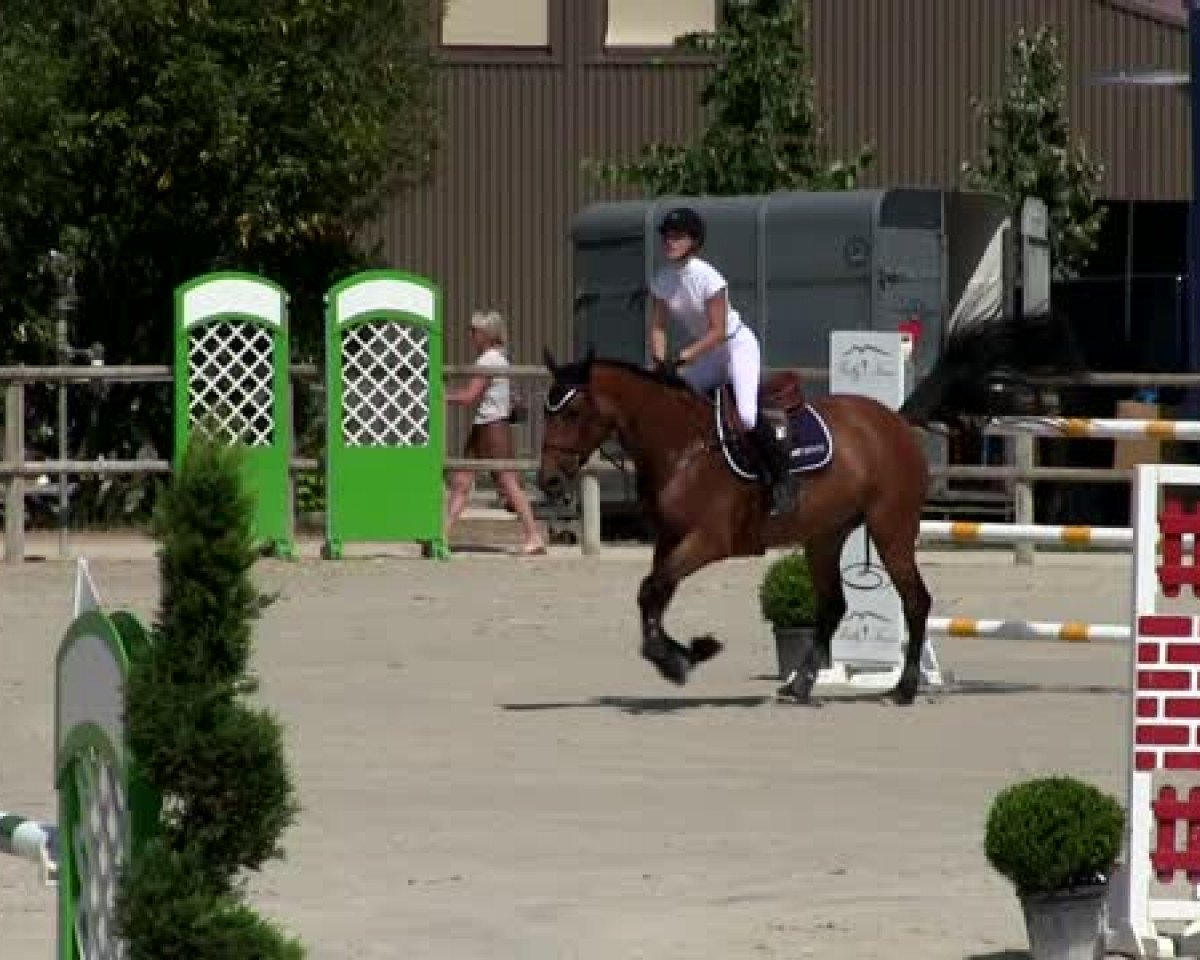 jumper Tocade du Bosc (Selle Français, 2007, from Calvaro Z)