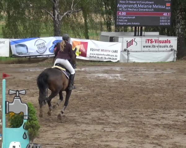 Reitturnier Neuss-Uedesheim 2019