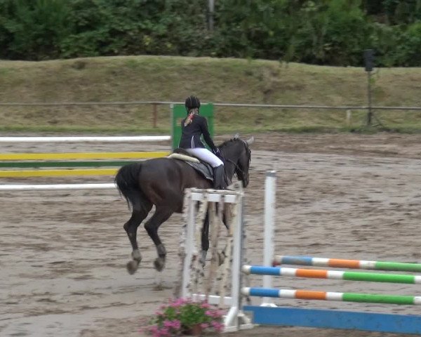 Reitturnier Neuss-Uedesheim 2019