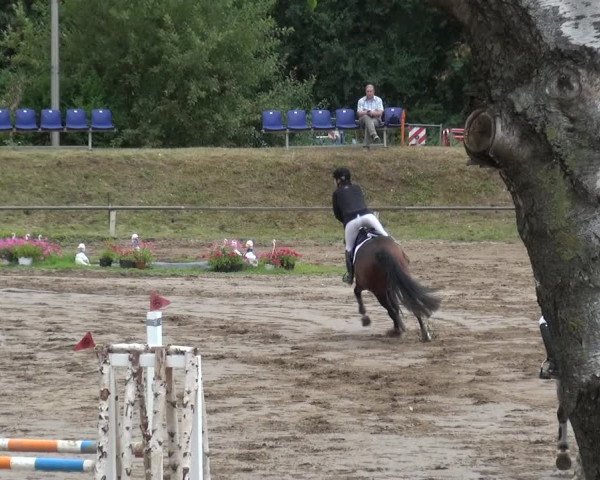 Reitturnier Neuss-Uedesheim 2019