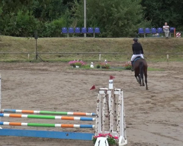 Reitturnier Neuss-Uedesheim 2019
