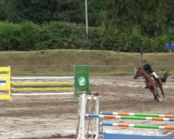 Reitturnier Neuss-Uedesheim 2019