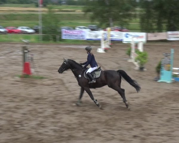 Reitturnier Neuss-Uedesheim 2019