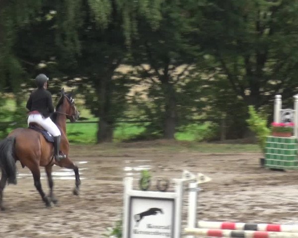 Reitturnier Neuss-Uedesheim 2019