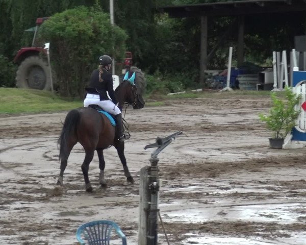 Reitturnier Neuss-Uedesheim 2019