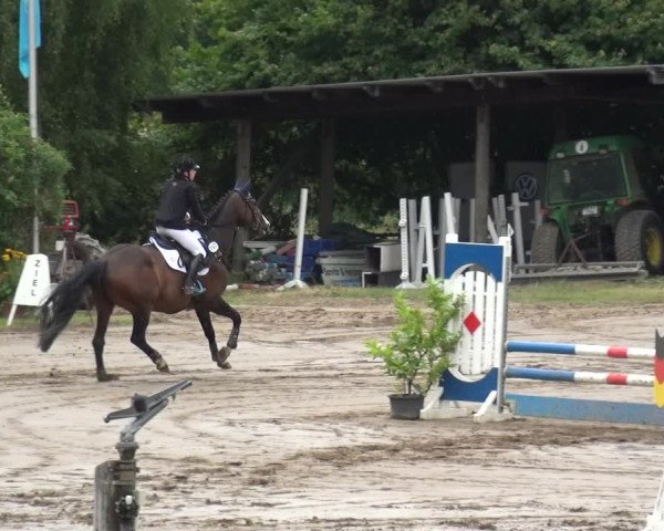 Reitturnier Neuss-Uedesheim 2019