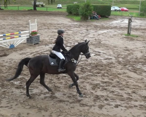 Reitturnier Neuss-Uedesheim 2019