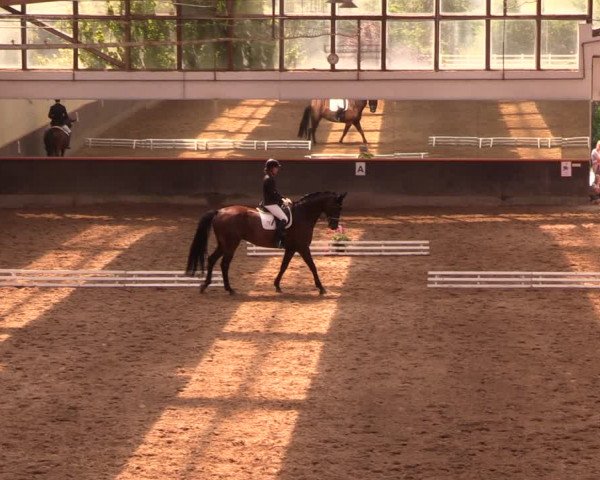 Reitturnier Dallgow 2019