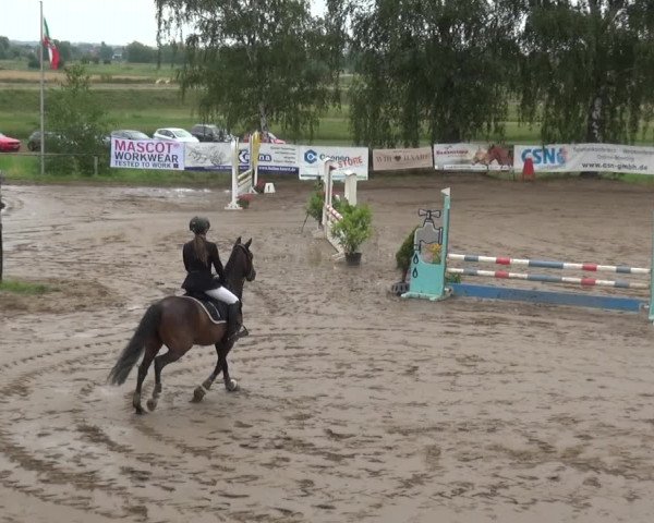 Reitturnier Neuss-Uedesheim 2019