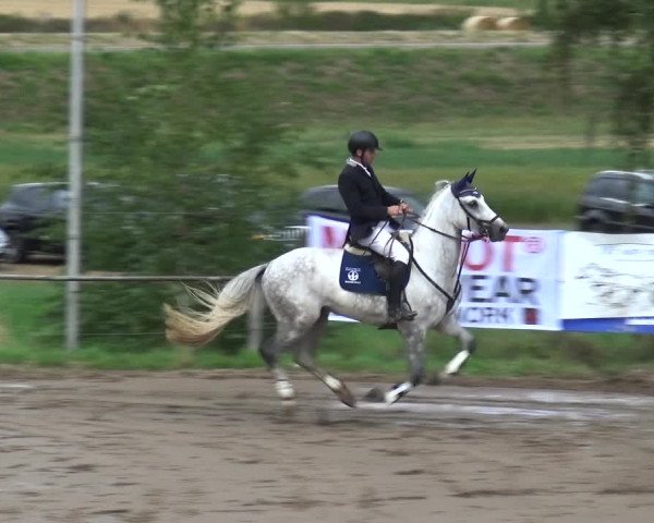 Reitturnier Neuss-Uedesheim 2019