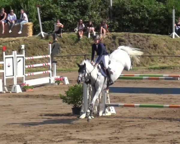 Reitturnier Neuss-Uedesheim 2019