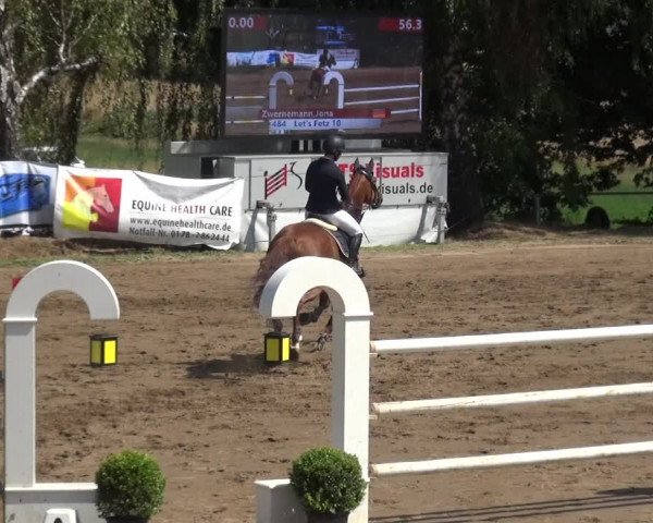 Reitturnier Neuss-Uedesheim 2019