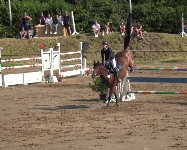 Reitturnier Neuss-Uedesheim 2019