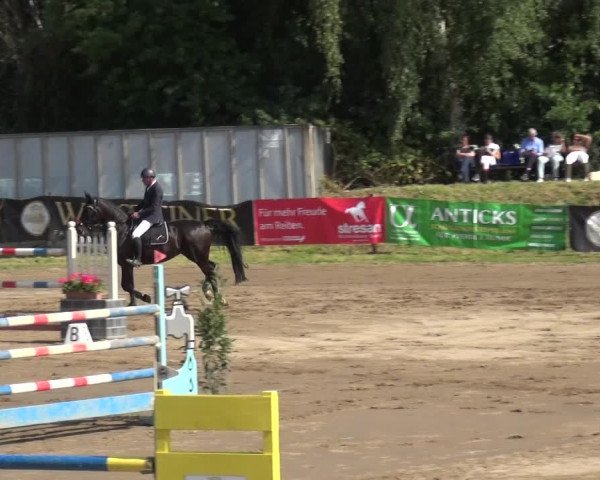 Reitturnier Neuss-Uedesheim 2019
