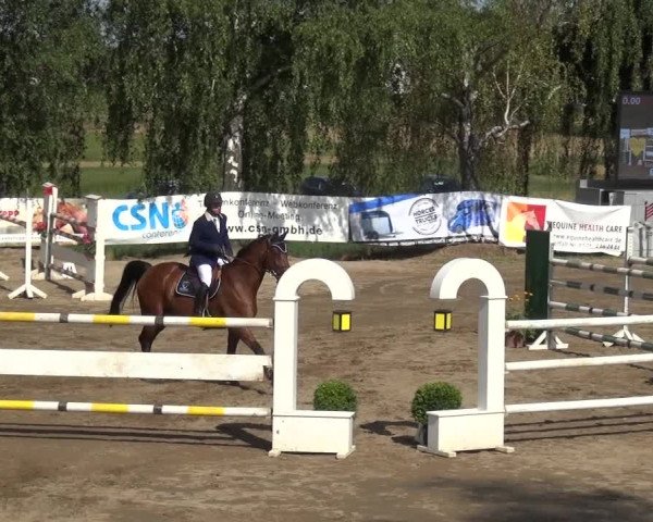 Reitturnier Neuss-Uedesheim 2019