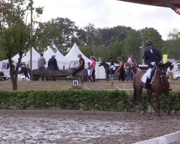 Reitturnier Olfen-Vinnum 2019