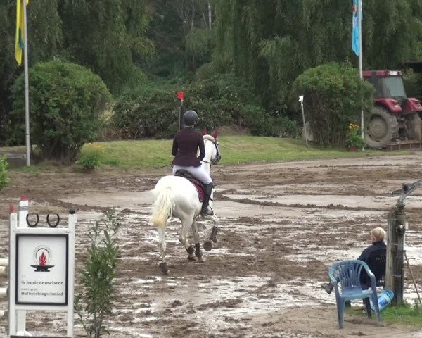 Reitturnier Neuss-Uedesheim 2019