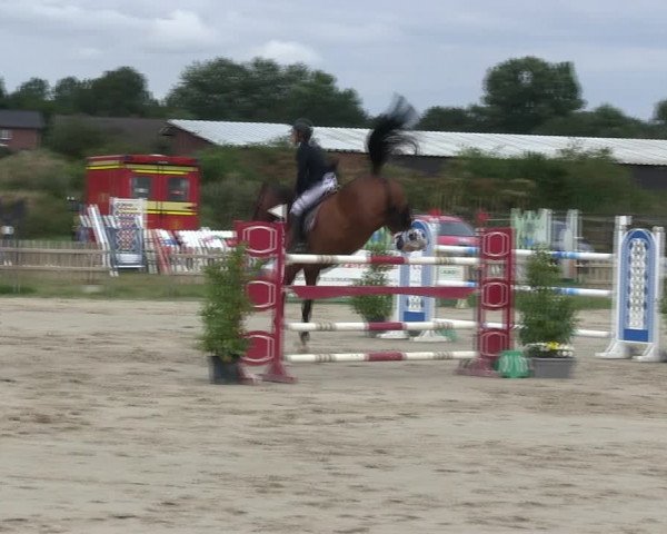 Reitturnier Schülp / Rendsburg 2019