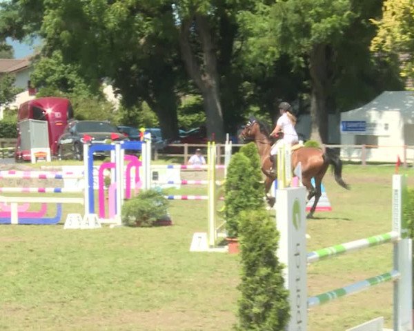 Reitturnier Langenthal 2019