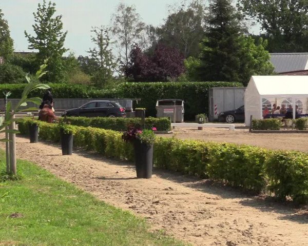 Reitturnier Olfen-Vinnum 2019