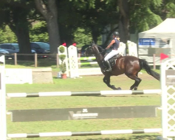 Reitturnier Langenthal 2019