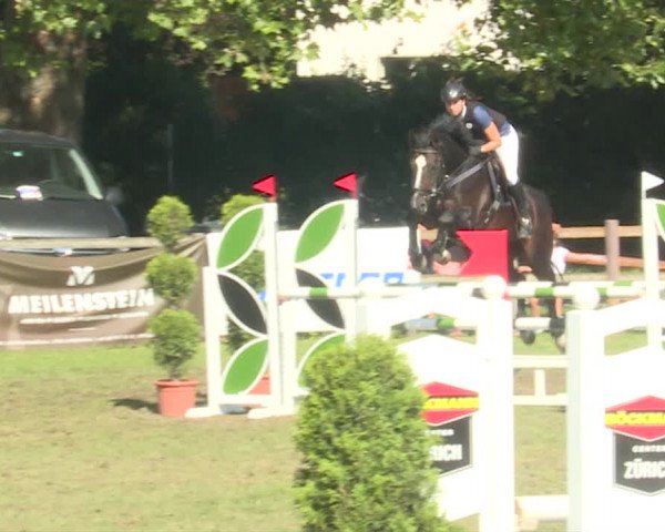 Reitturnier Langenthal 2019