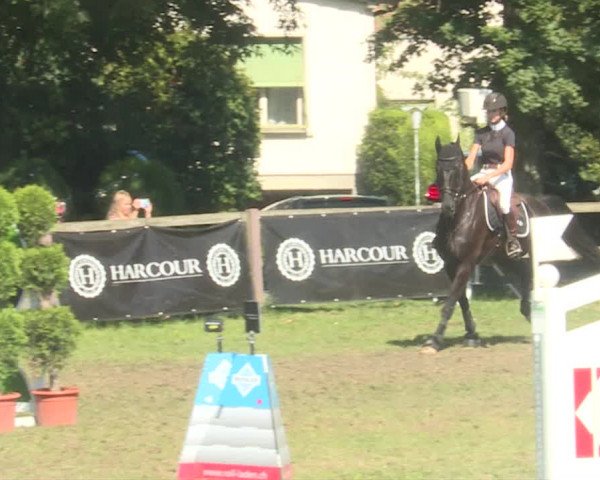 Reitturnier Langenthal 2019