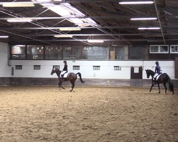 Reitturnier Ascheberg 2021