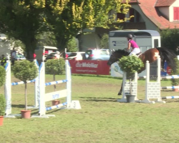 Reitturnier Langenthal 2019
