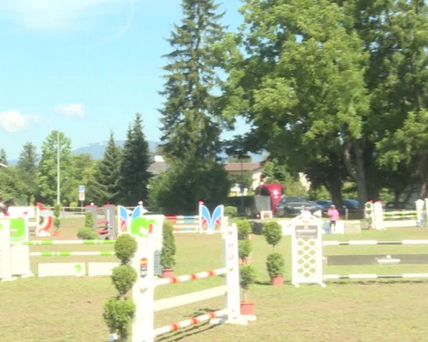 Reitturnier Langenthal 2019