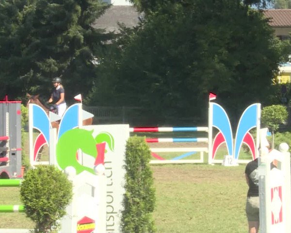 Reitturnier Langenthal 2019
