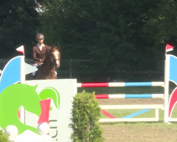 Reitturnier Langenthal 2019
